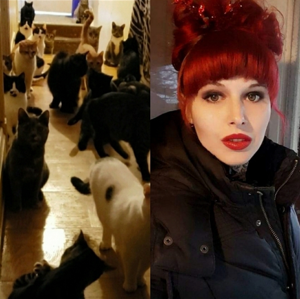 Cat/dog rescue and fashion!
